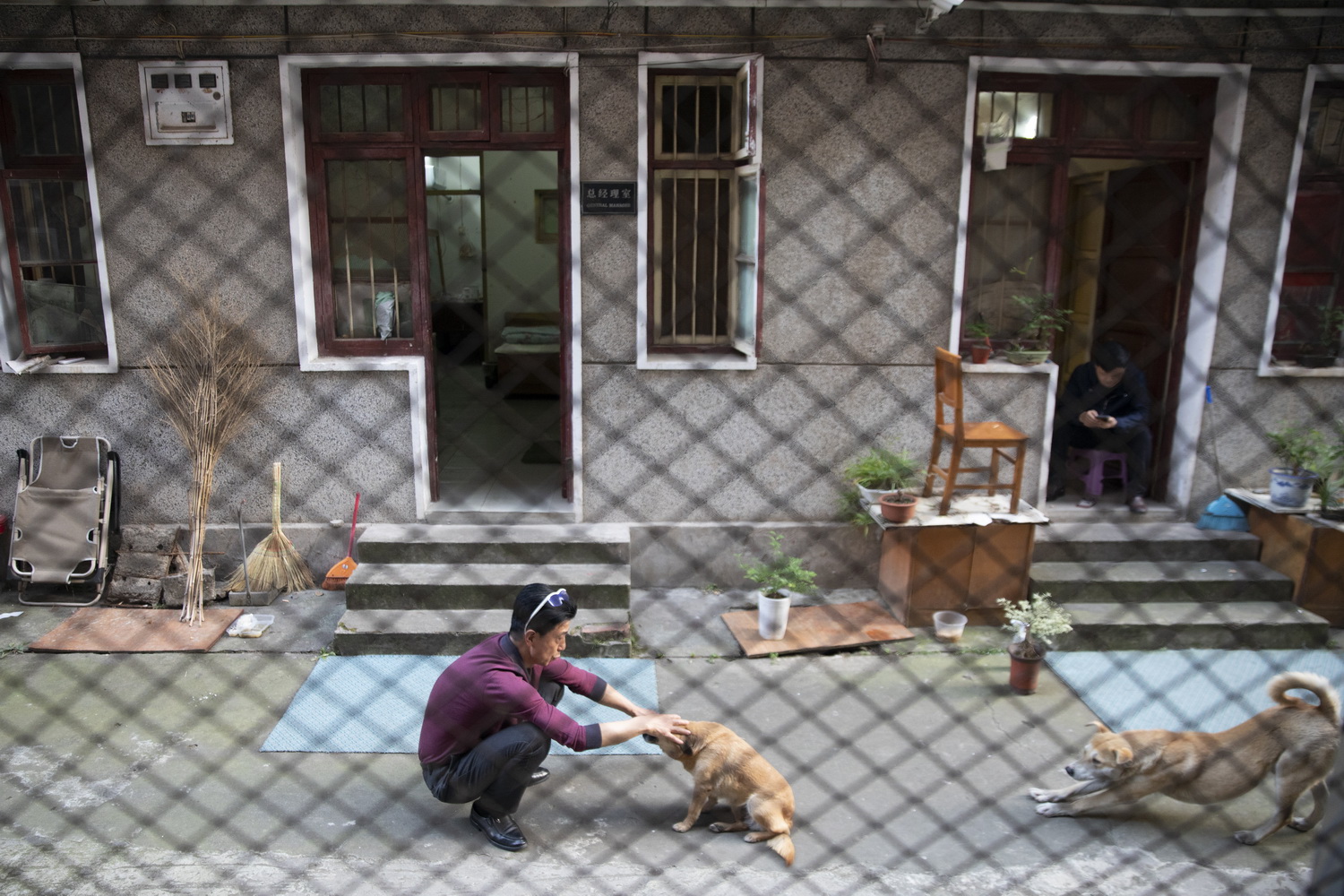 4月15日，家住武昌的付先生与他收养的流浪狗交流。刘宇 摄120A5792_调整大小.jpg
