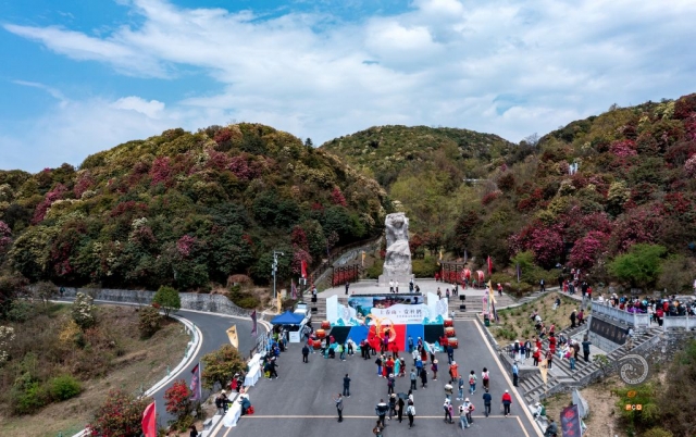 $vo['fname']|default='春天里，春山上，黔西县的百里杜鹃盛开了。男女老少，红男绿女，或赏花，或拍照。欢声笑语，幸福满满。2024年3月29日无人机拍摄于贵州省毕节市黔西县。