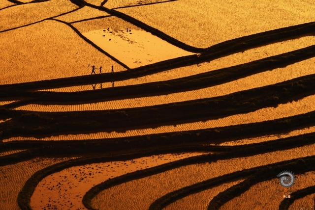 $vo['fname']|default='周睿曦2016年6月摄于贵州龙里毛基堡梯田《田间歌谣》