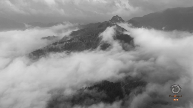 $vo['fname']|default='都匀毛尖茶产于贵州都匀市螺蛳壳茶山一带，这里山谷起伏，海拔千米，峡谷溪流，林木苍郁，云雾笼罩，冬无严寒，夏无酷暑，四季宜人，年平均气温为16度，年平均降水量在1400多毫米。加之土层深厚，土壤疏松湿润，土质是酸性或微酸性，内含大量的铁质和磷酸盐，这些特殊的自然、条件不仅适宜茶树的生长，而且也形成了都匀毛尖的独特风格，茶山不仅生产贵州名优绿茶，而且是都匀一道亮丽的风景线和摄影人的创作基地。都匀螺蛳壳茶山雨后的早晨茶山上云雾袅绕，犹如仙境一般。