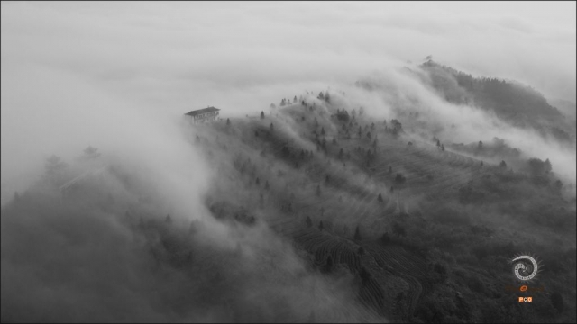 $vo['fname']|default='都匀毛尖茶产于贵州都匀市螺蛳壳茶山一带，这里山谷起伏，海拔千米，峡谷溪流，林木苍郁，云雾笼罩，冬无严寒，夏无酷暑，四季宜人，年平均气温为16度，年平均降水量在1400多毫米。加之土层深厚，土壤疏松湿润，土质是酸性或微酸性，内含大量的铁质和磷酸盐，这些特殊的自然、条件不仅适宜茶树的生长，而且也形成了都匀毛尖的独特风格，茶山不仅生产贵州名优绿茶，而且是都匀一道亮丽的风景线和摄影人的创作基地。都匀螺蛳壳茶山雨后的早晨茶山上云雾袅绕，犹如仙境一般。