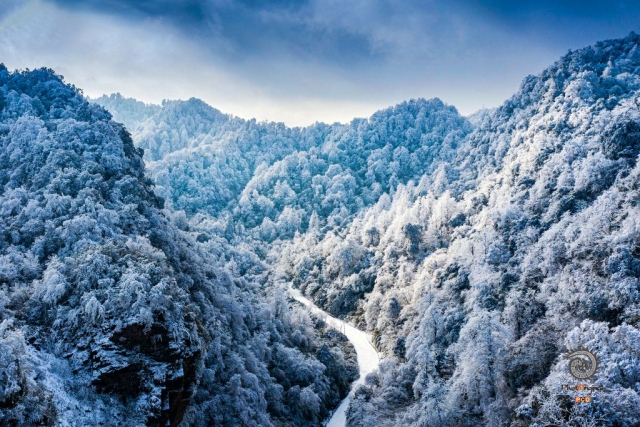 $vo['fname']|default='