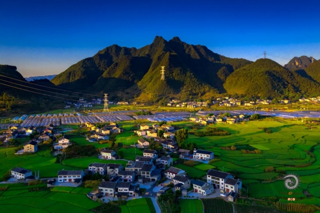 $vo['fname']|default='