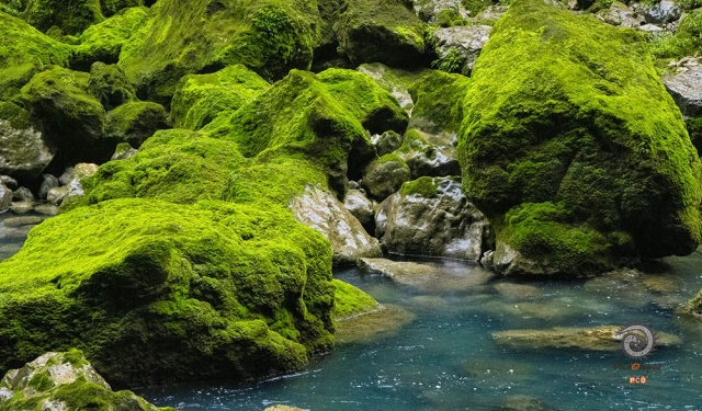 $vo['fname']|default='拍摄于荔波小七孔桥