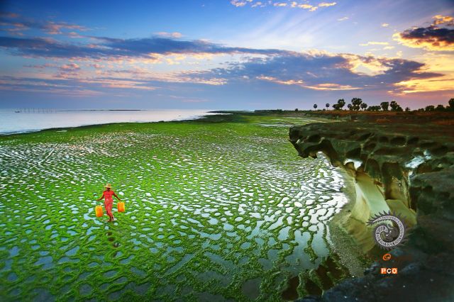 Beauty of Nature