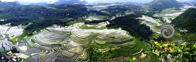 贵州龙里梯田
