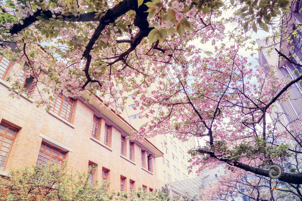 花样贵州