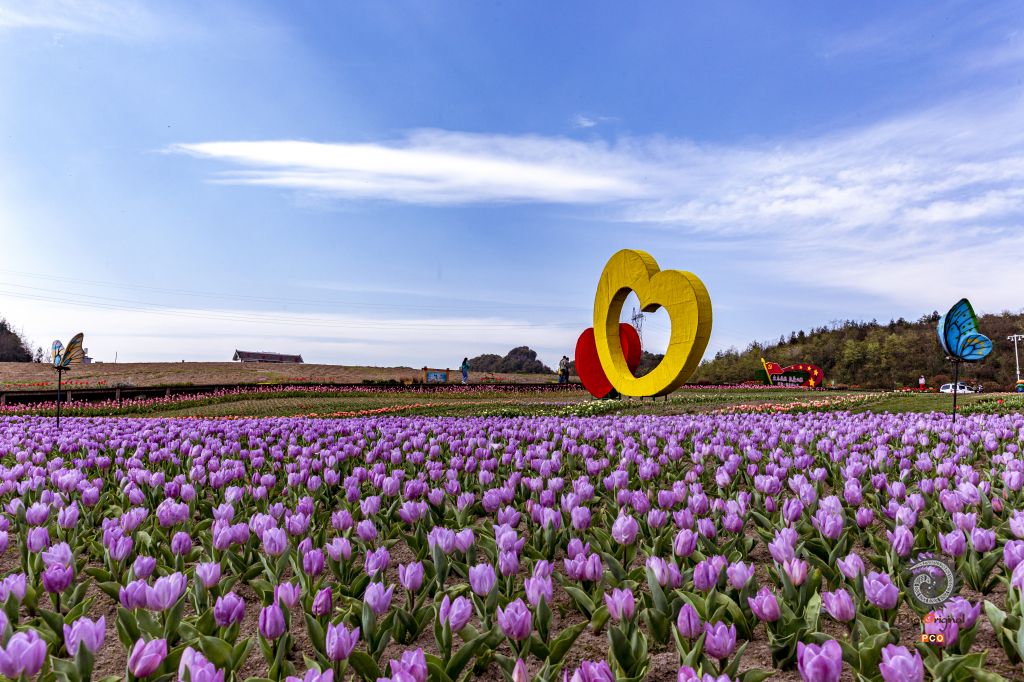 花间阡陌