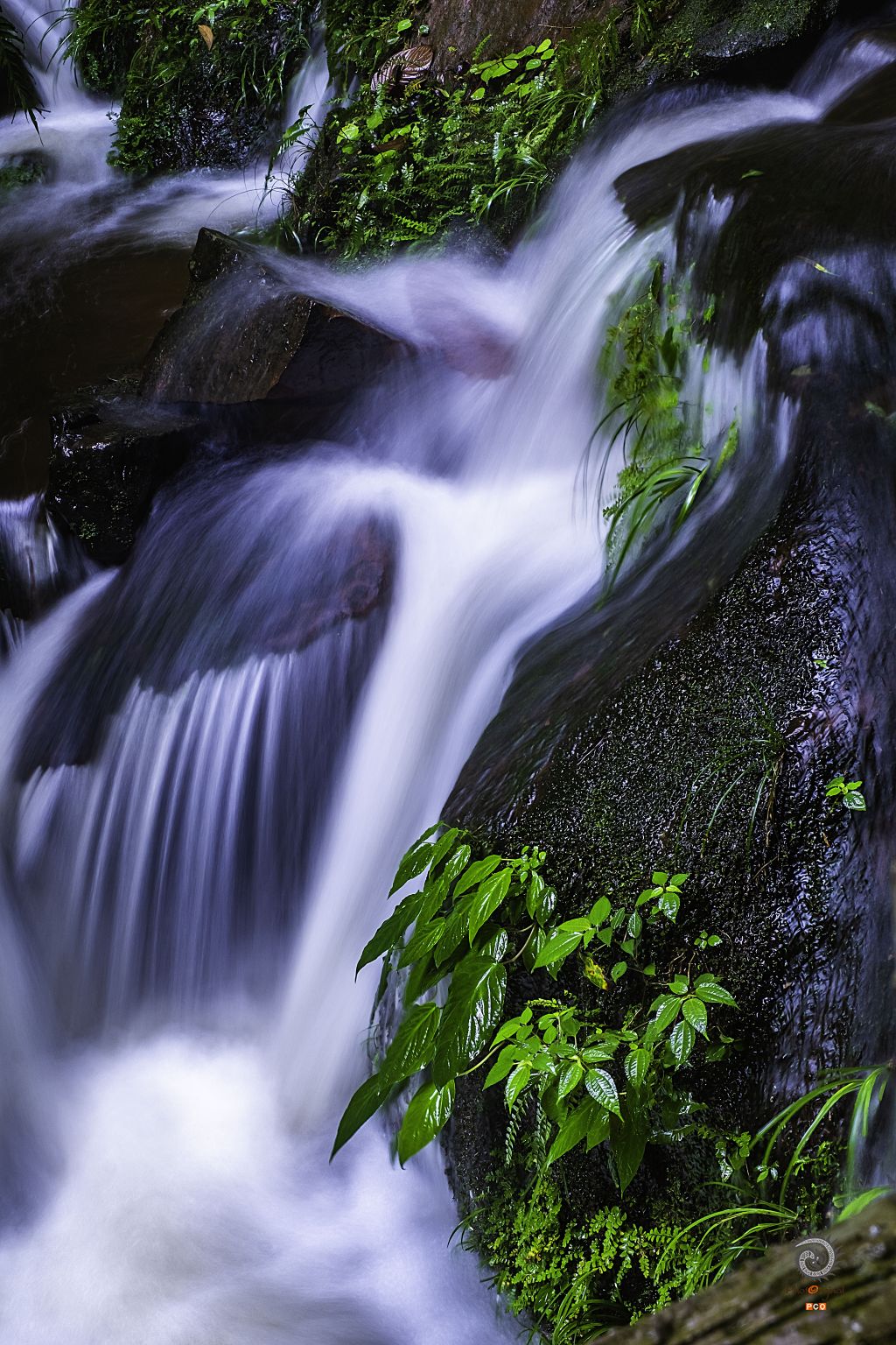 水韵