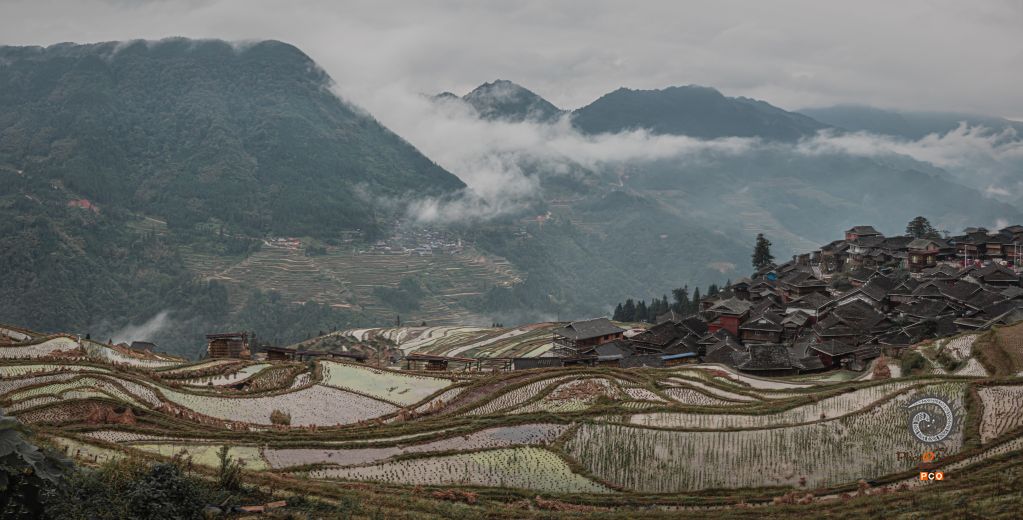 加榜梯田