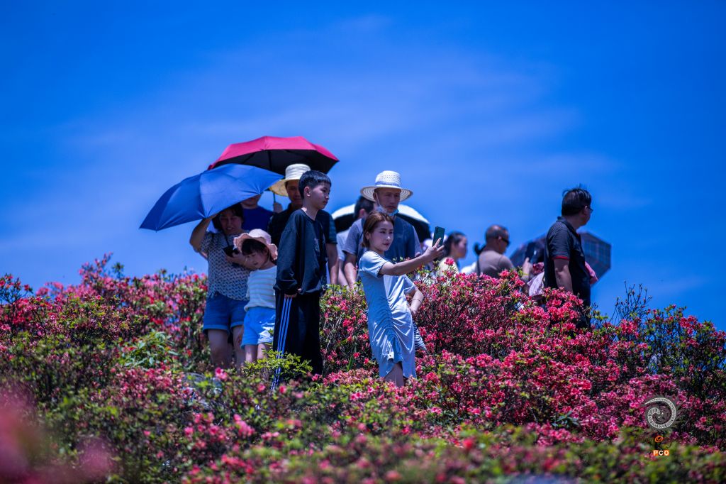 等到山顶红了
