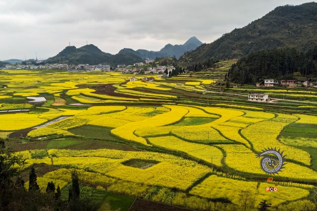 《春到谷纪村》