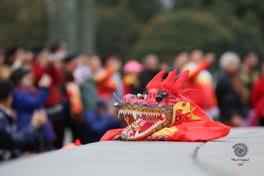 《尾扫二月龙抬头》（组照）