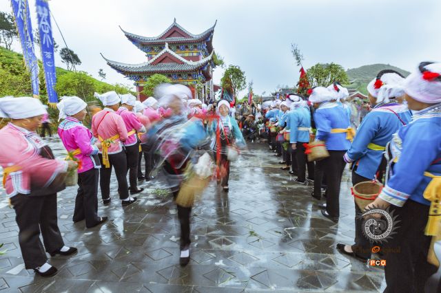 螺丝壳茶山祭茶