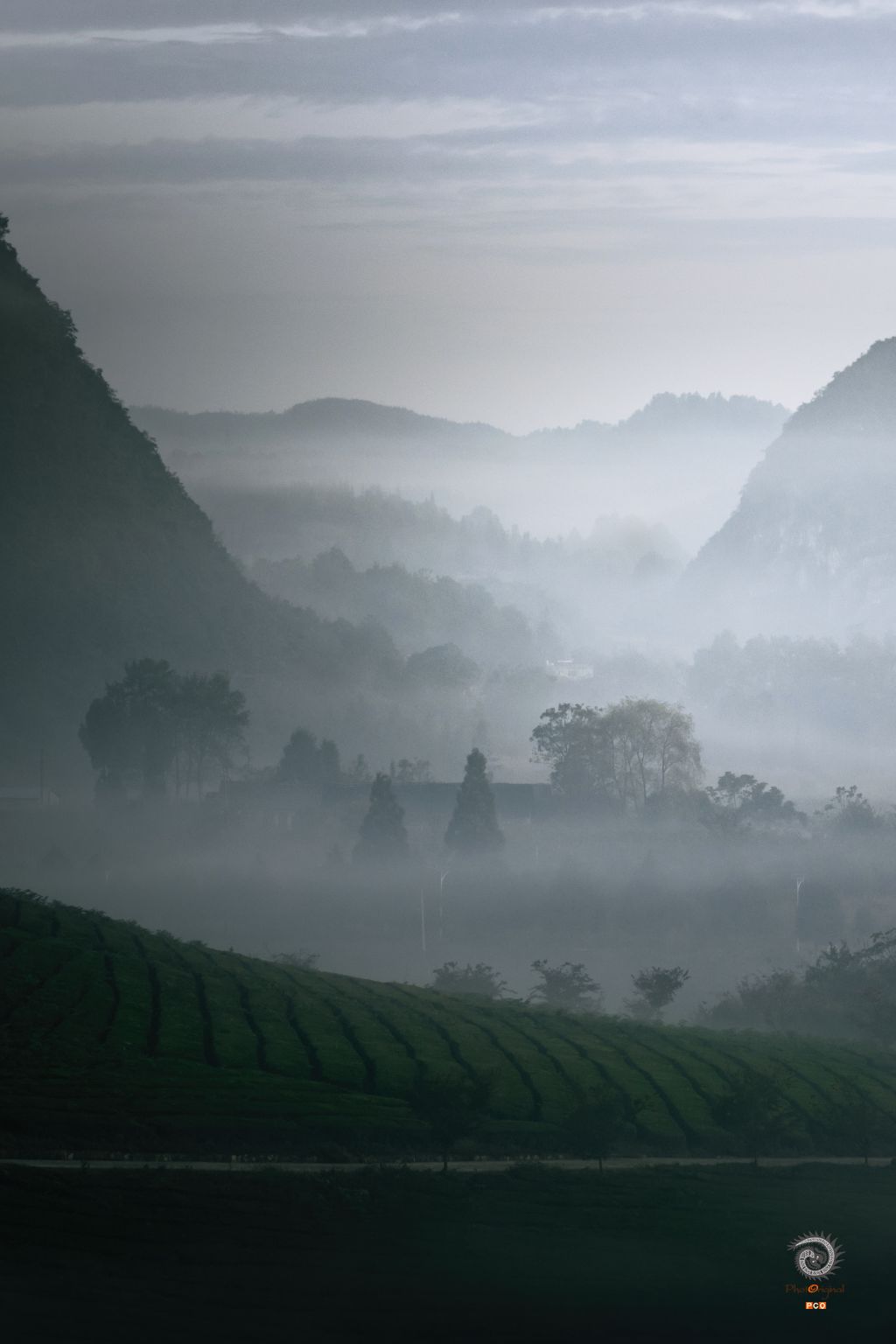 茶山晨雾