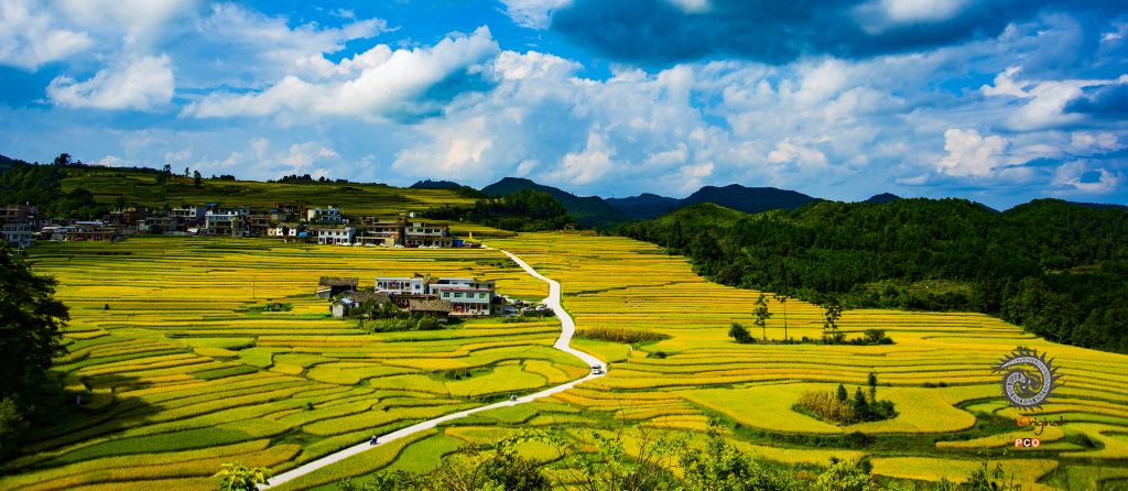 美丽乡村 致富路 谢党恩