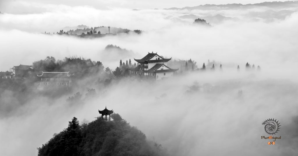 生态茶园