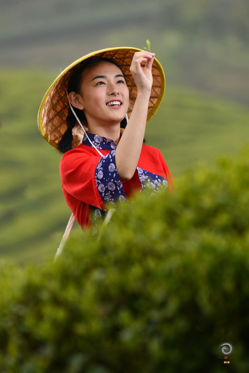 生态茶园