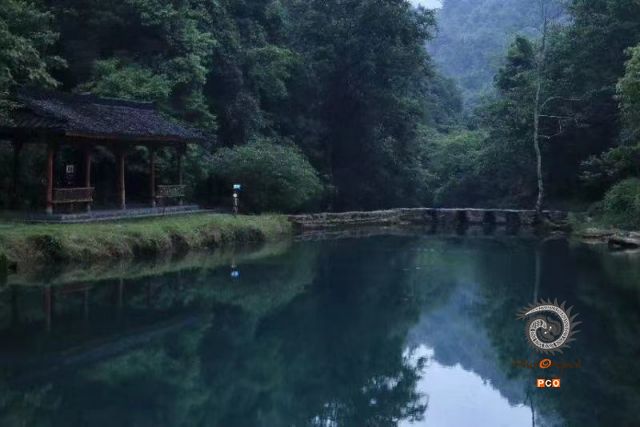 茂兰·晨