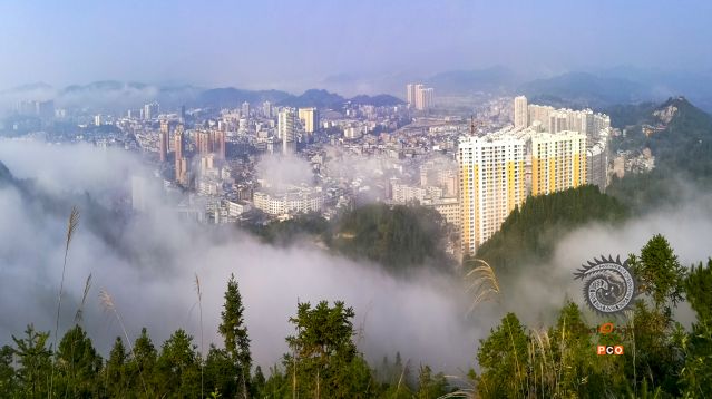 生态家园