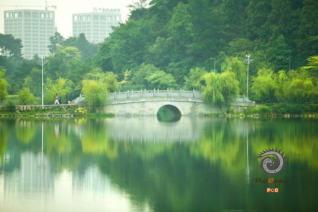 《最美观山湖》