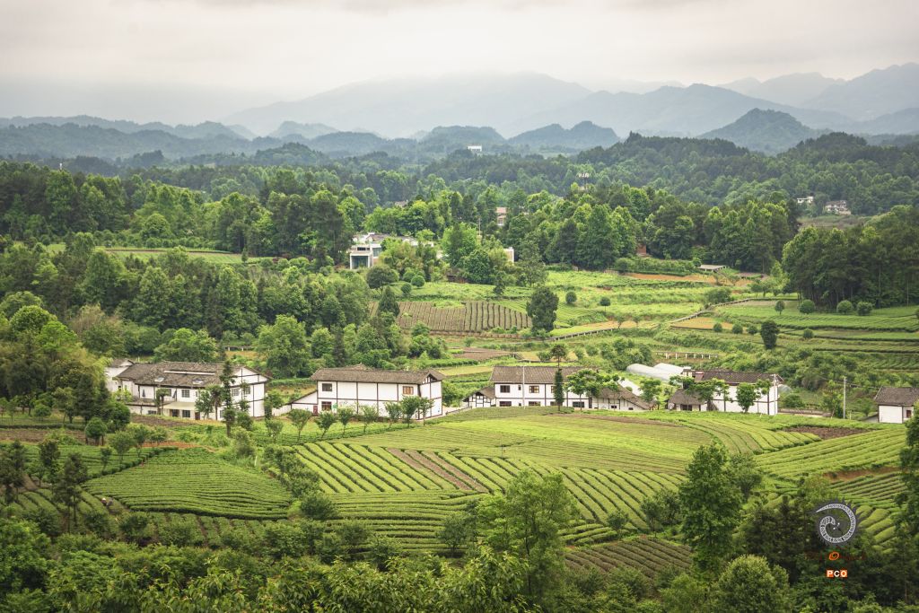 湄潭云贵山生态园