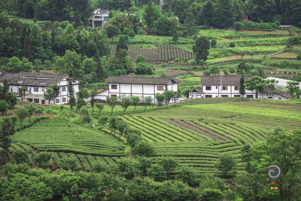 湄潭云贵山生态园