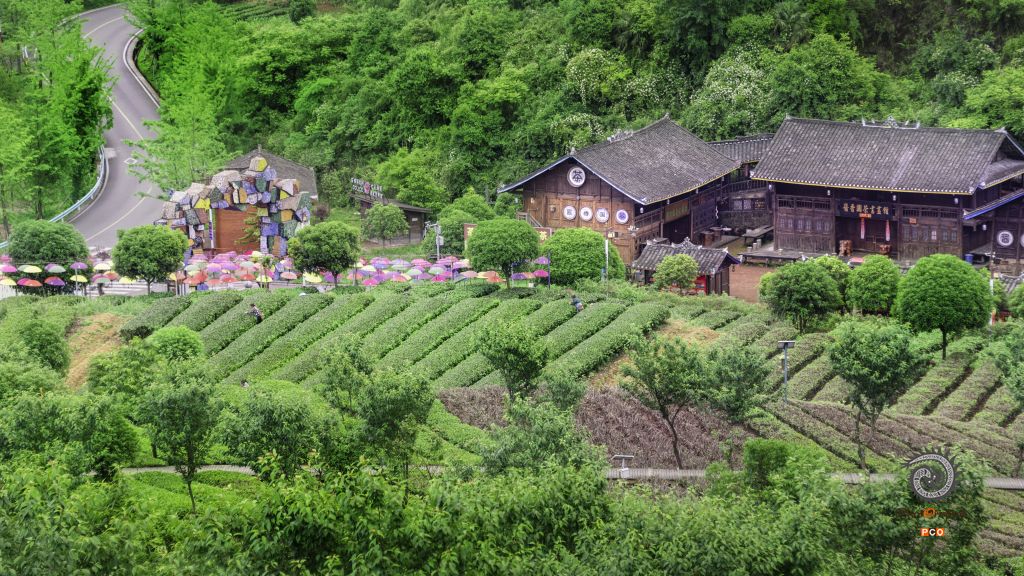 湄潭云贵山生态园