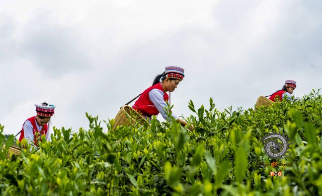 水城春