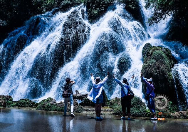 拥抱大自然