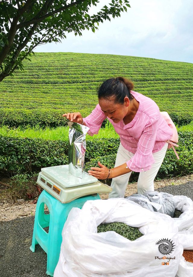 《质好量足》