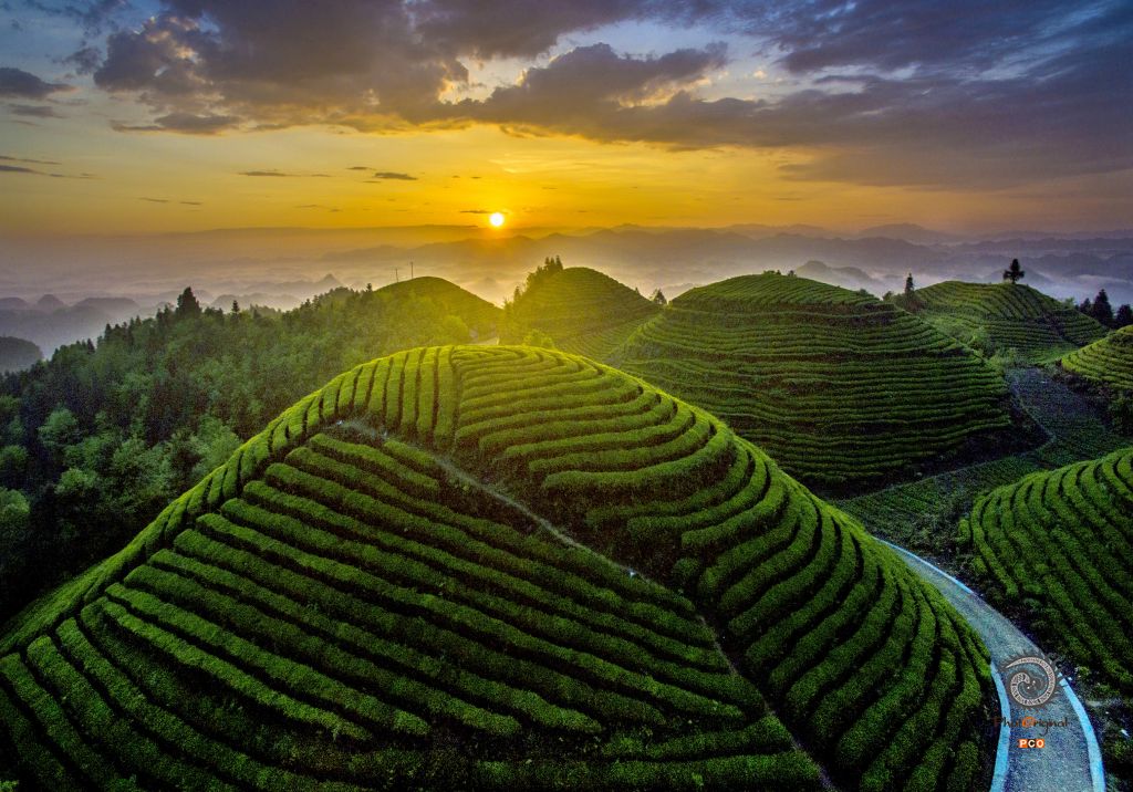专业组《专业类》金山银山