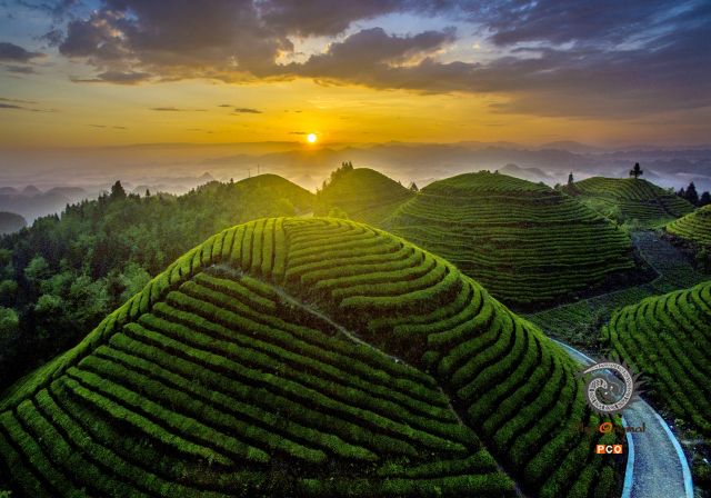 专业组《专业类》金山银山