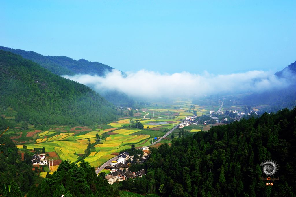 飞峰晨韵