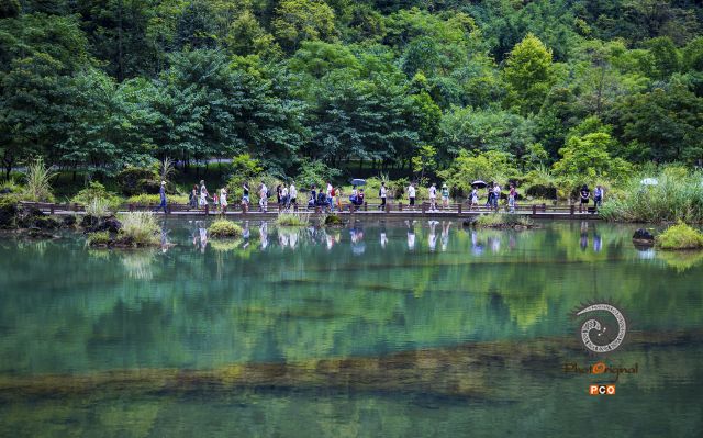 荔波山水画中游