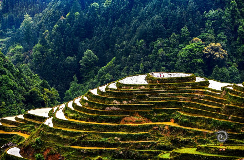 山间梯田