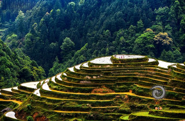 山间梯田