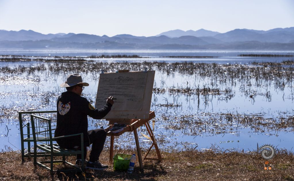 《笔下草海》