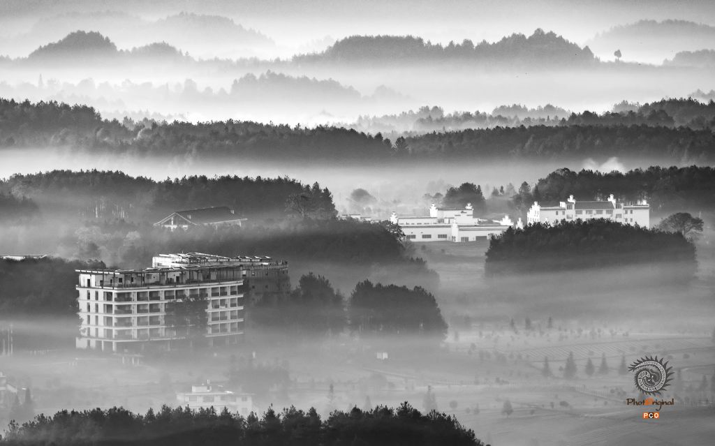 水墨茶海