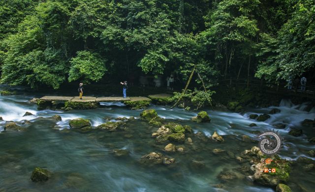 密林瀑布，山水涧