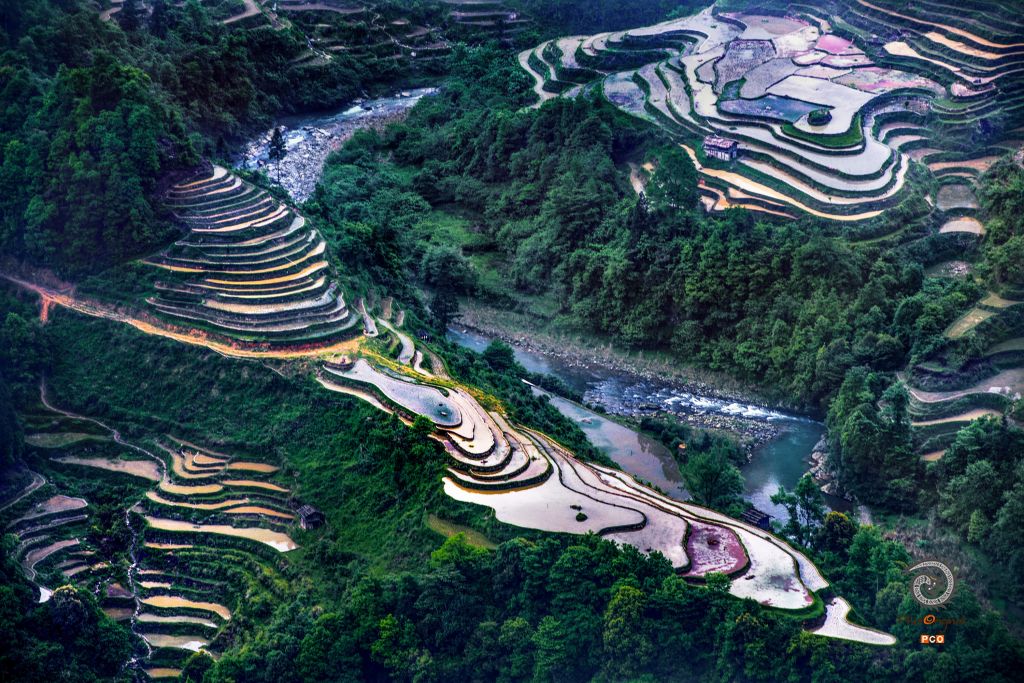 山涧溪水岭上梯田
