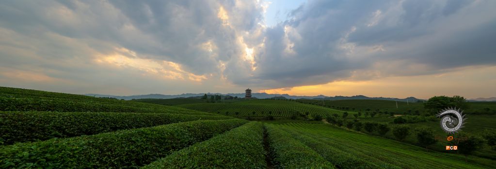 茶海晚霞