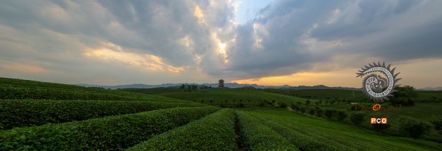茶海晚霞