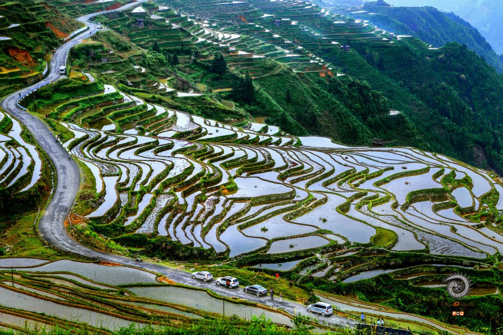 春游加榜梯田