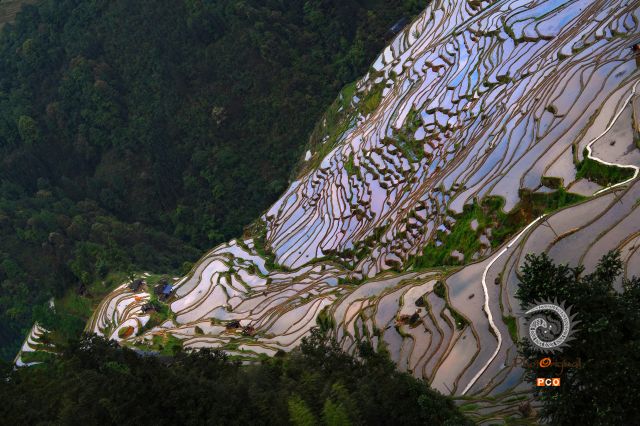 山田韵律