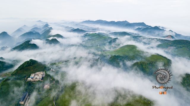人间仙境青山茶场