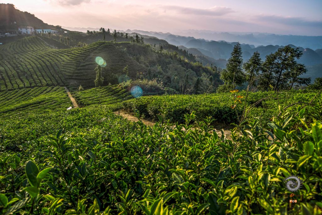 茶山夕照
