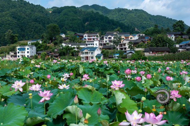 美丽乡村