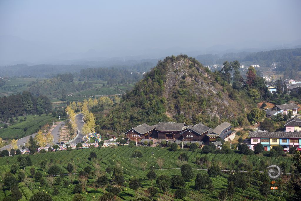 茶园似花园，茶香飘四方（组照）