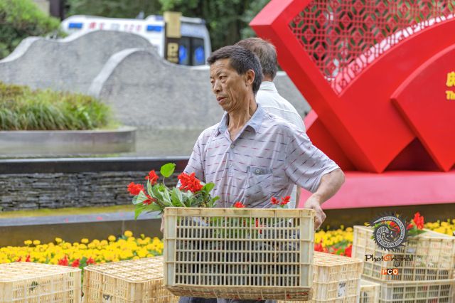 花卉工人